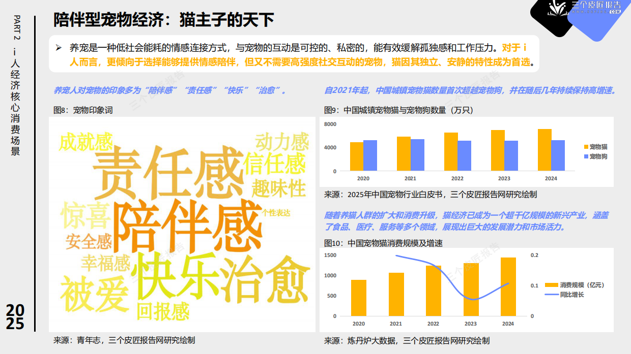 2025年i人经济洞察报告：社恐如何重塑新消费市场-三个皮匠&景略.pdf_第9页