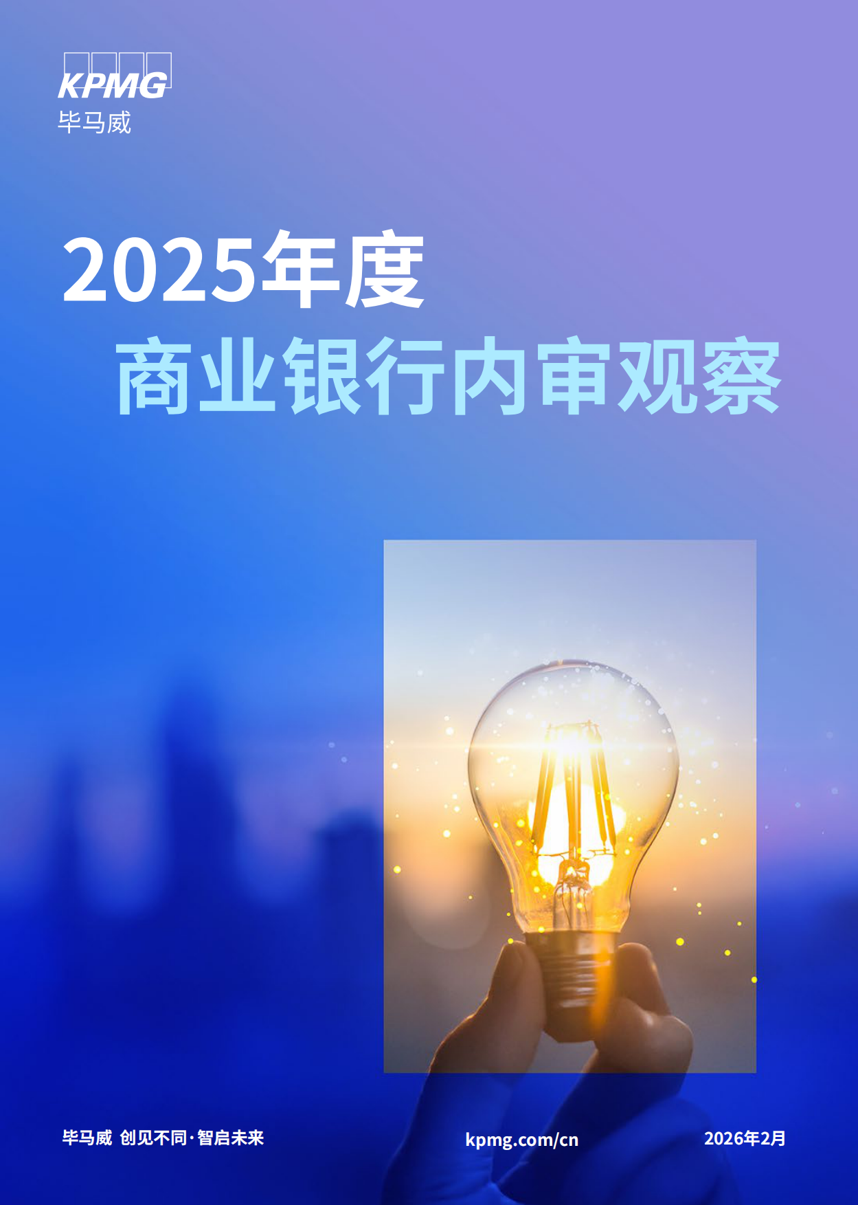 2025年度商业银行内审观察报告-毕马威.pdf