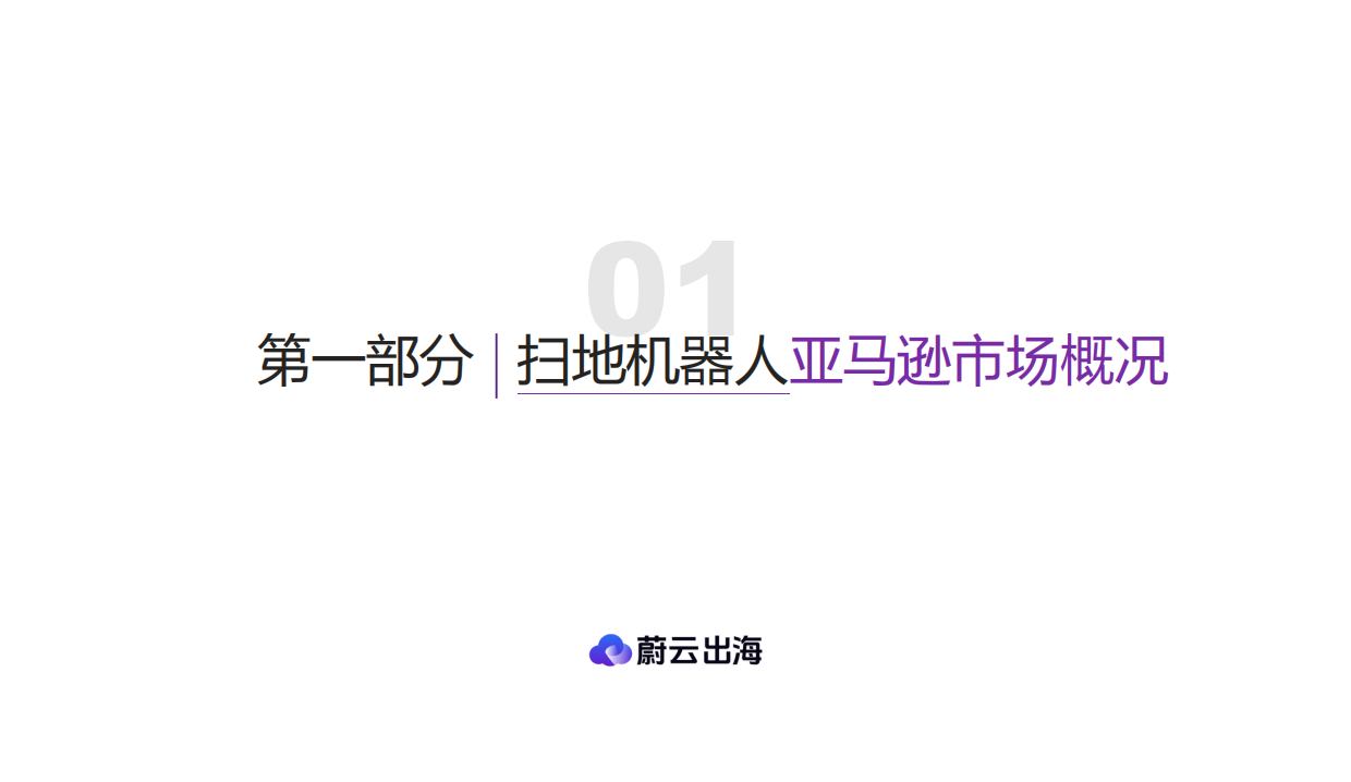 2025年扫地机器人美国市场年度研报-蔚云出海.pdf_第5页