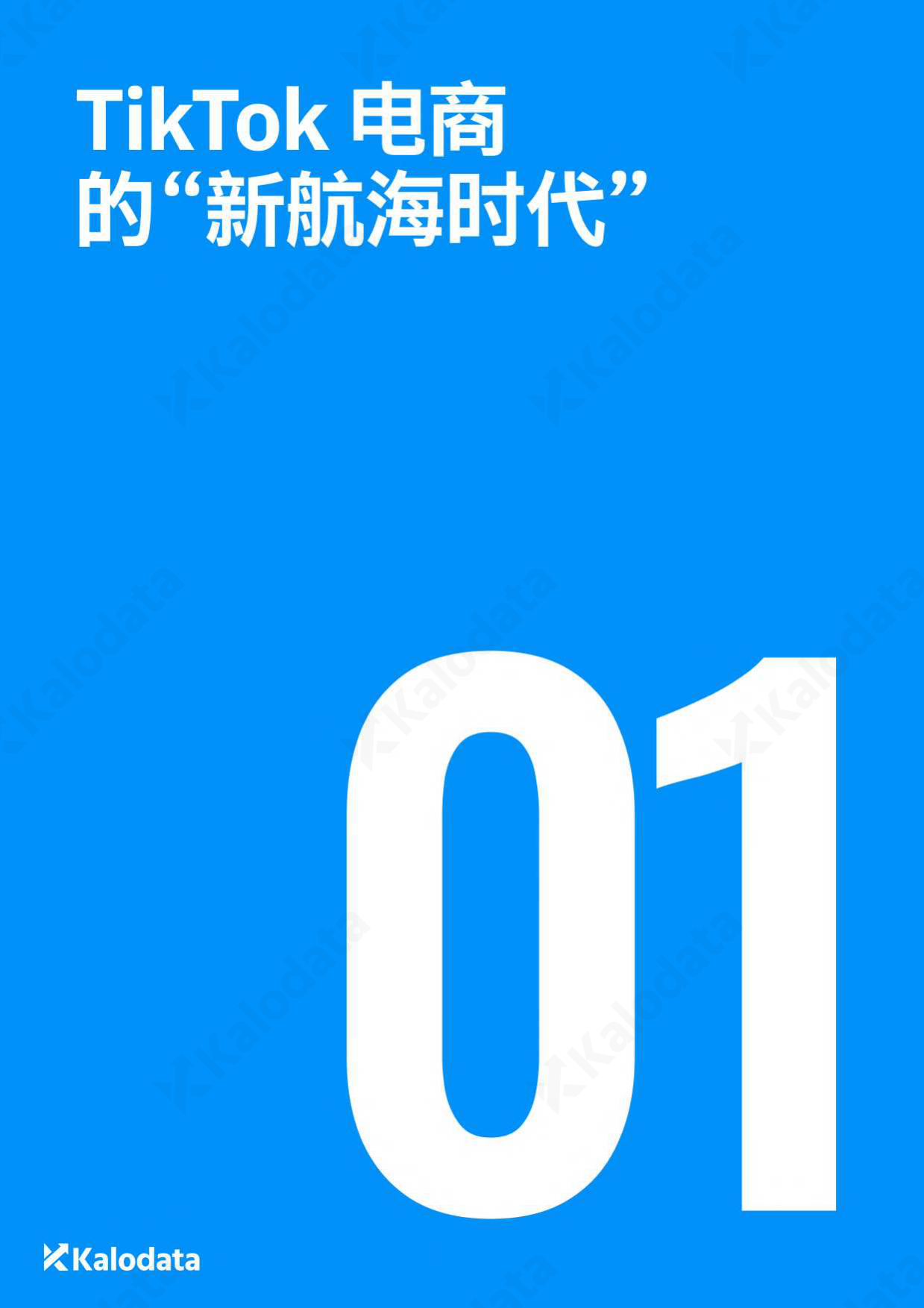 2026年TikTok电商白皮书-Kalodata.pdf_第4页
