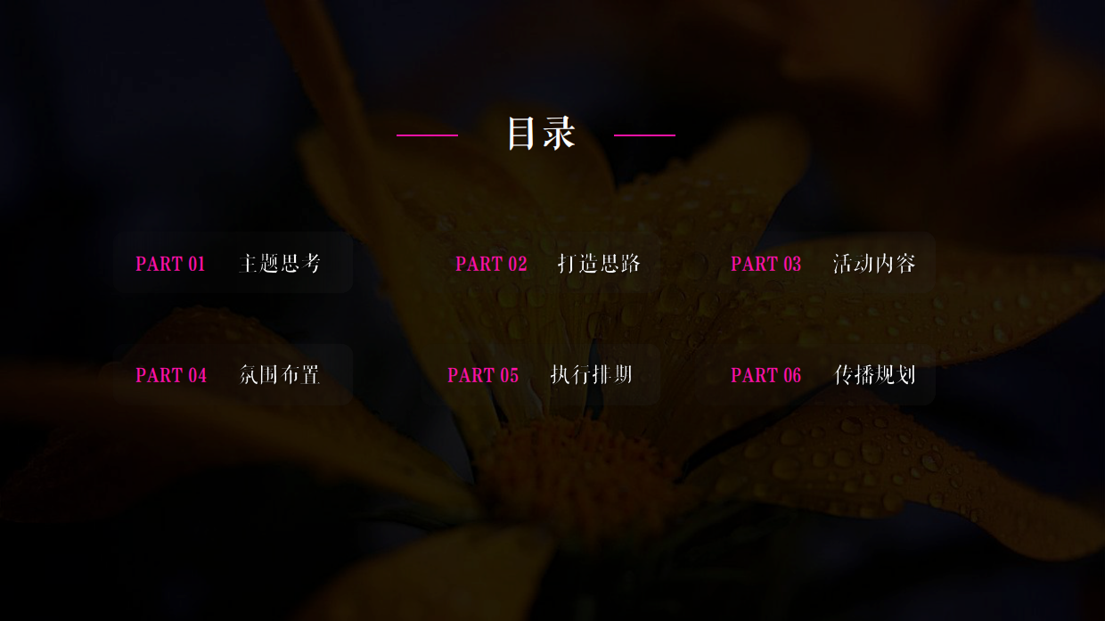 2025奔赴江海 “郁”见爱圆陀角郁金香花会博览会活动策划案.pdf_第2页