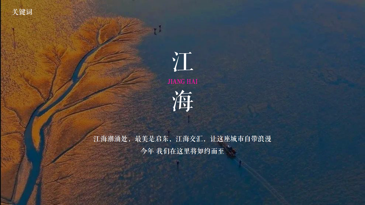 2025奔赴江海 “郁”见爱圆陀角郁金香花会博览会活动策划案.pdf_第4页