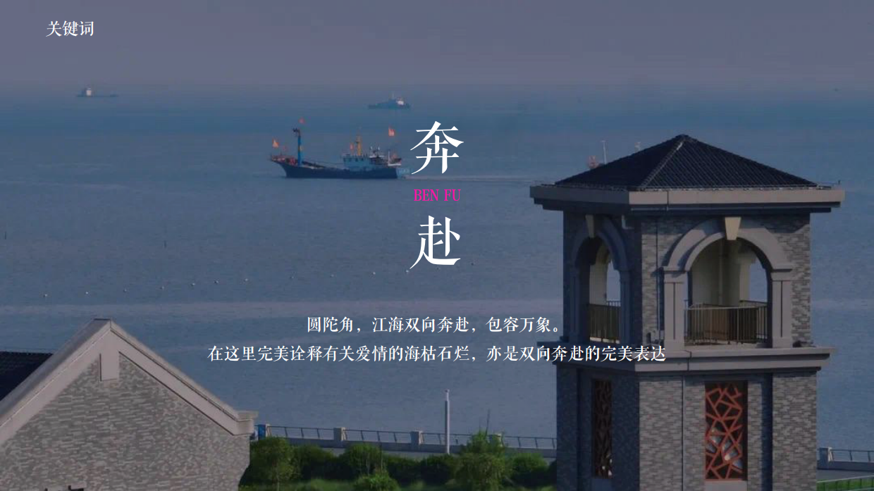2025奔赴江海 “郁”见爱圆陀角郁金香花会博览会活动策划案.pdf_第5页