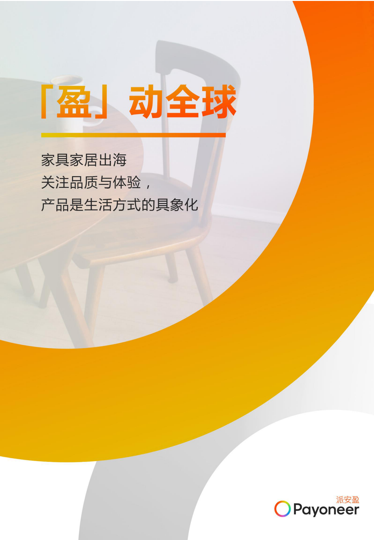 2025年盈动全球-宠物用品家具家居独立站出海白皮书-Payoneer派安盈.pdf_第10页