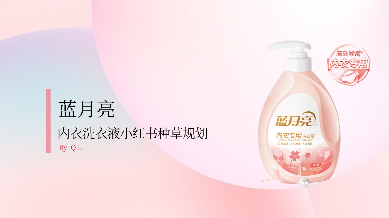 【内容种草】日化品牌内衣洗衣液小红书种草规划.pptx_第2页