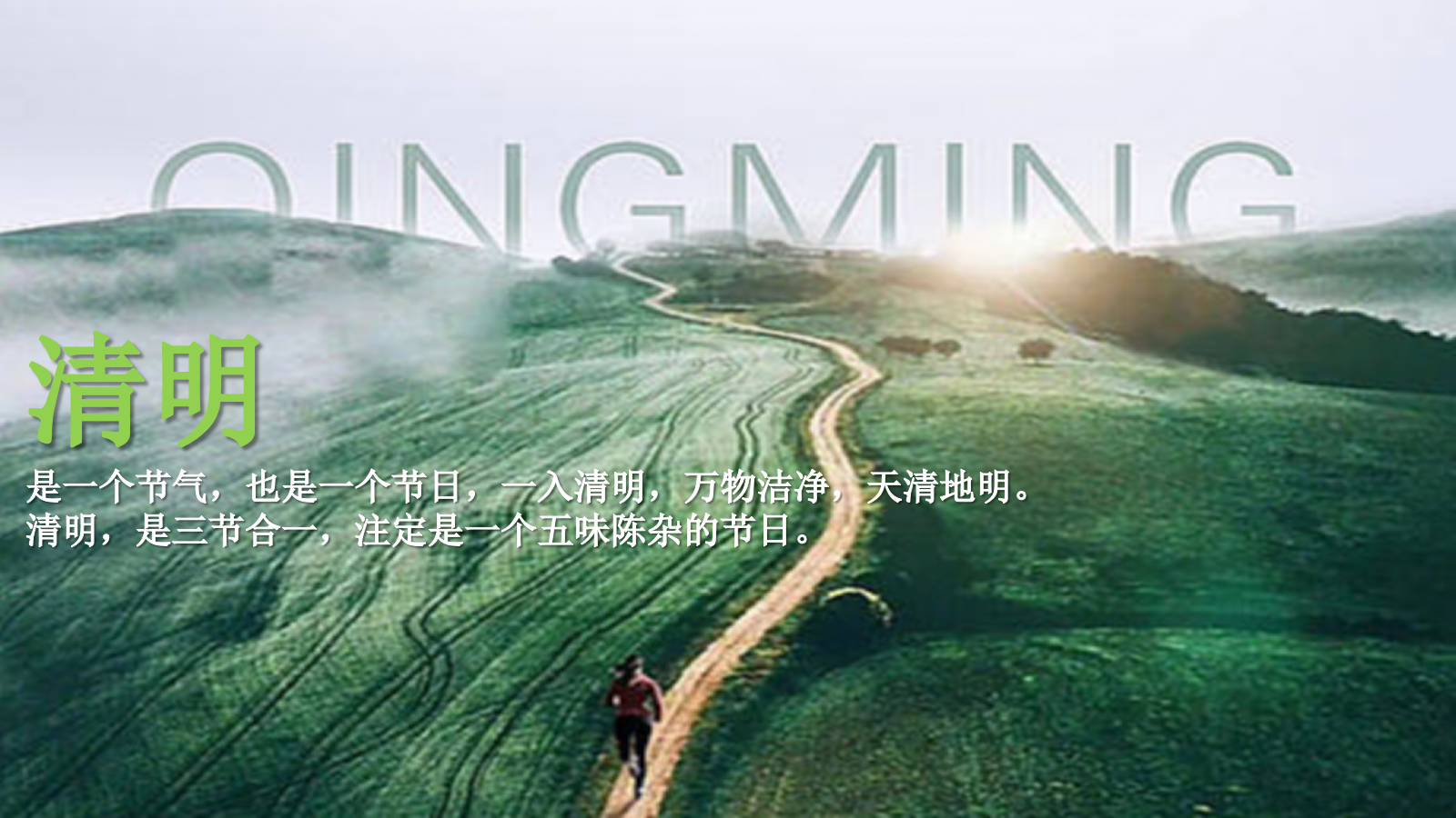 寻春.赏茶雅集清明踏春圈层主题活动策划案.pptx_第3页