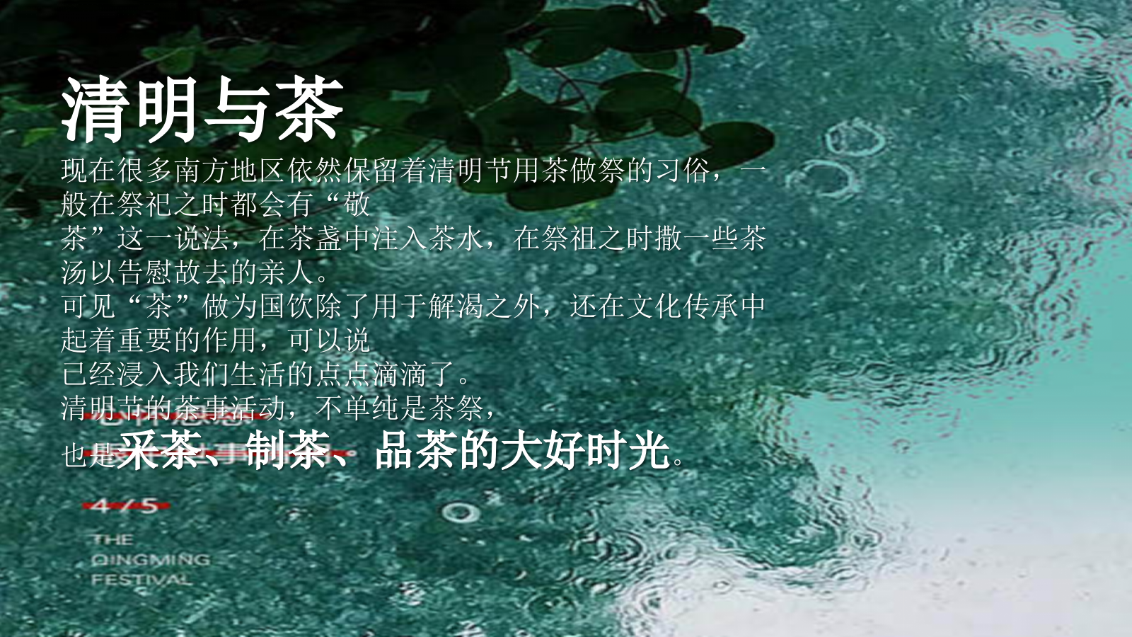 寻春.赏茶雅集清明踏春圈层主题活动策划案.pptx_第5页