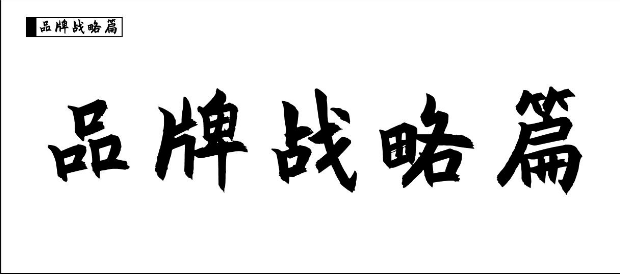 品牌战略品牌核心表达品牌传播--三篇.pdf_第2页