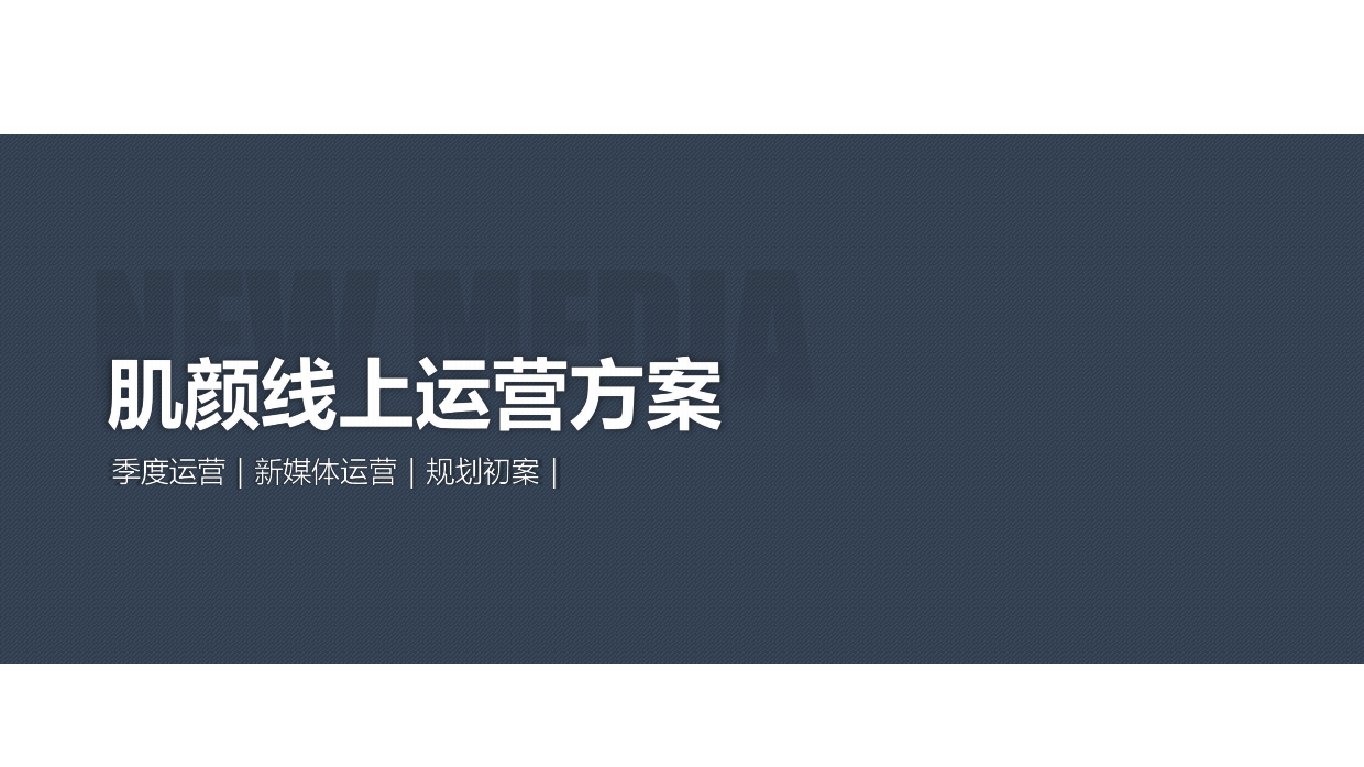 美妆-颜肌品牌运营方案.pdf