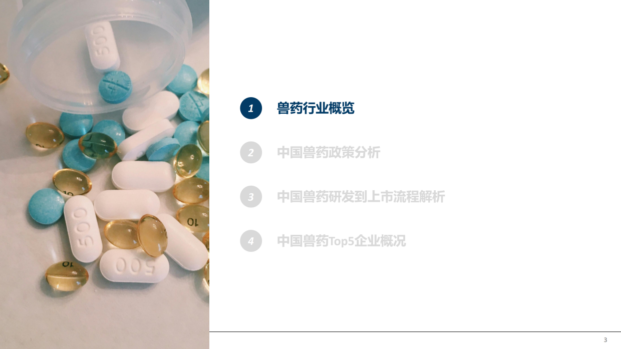 2026年中国兽药产业全景透视：政策演进研发流程与市场格局报告-摩熵咨询.pdf_第3页
