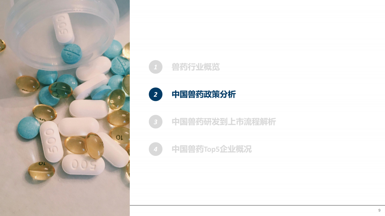 2026年中国兽药产业全景透视：政策演进研发流程与市场格局报告-摩熵咨询.pdf_第9页