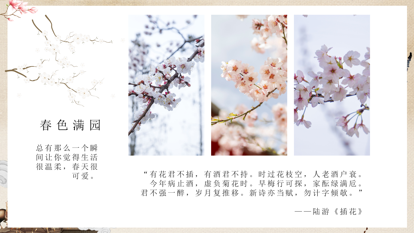 2026花影摇曳 浪漫香约春季中式插花圈层花艺体验主题活动策划方案.pptx_第3页