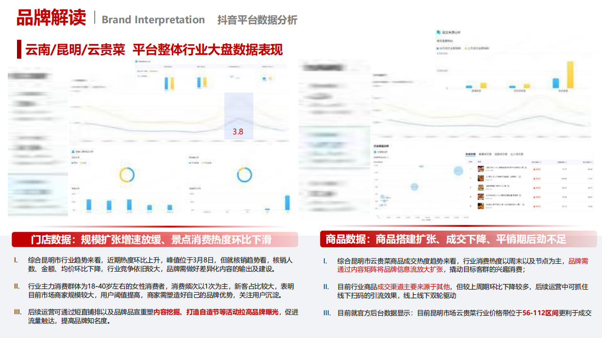 帮扶股份&老滇山寨抖音运营策划方案.pdf_第4页
