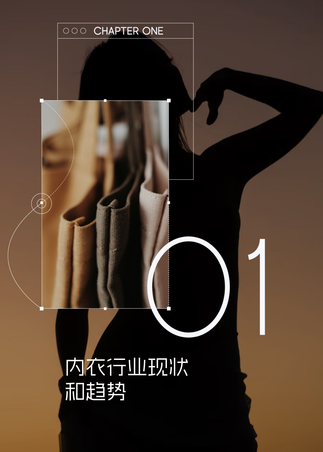 2025年科技内衣趋势洞察白皮书.pdf_第3页