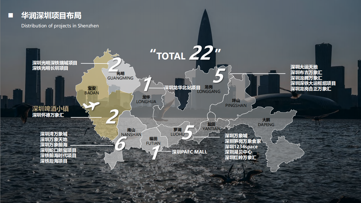 商业中心啤酒小镇项目介绍招商手册.pdf_第6页