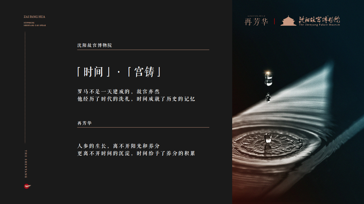 再芳华&百岁鹿-包装集合-设计提案.pdf_第4页