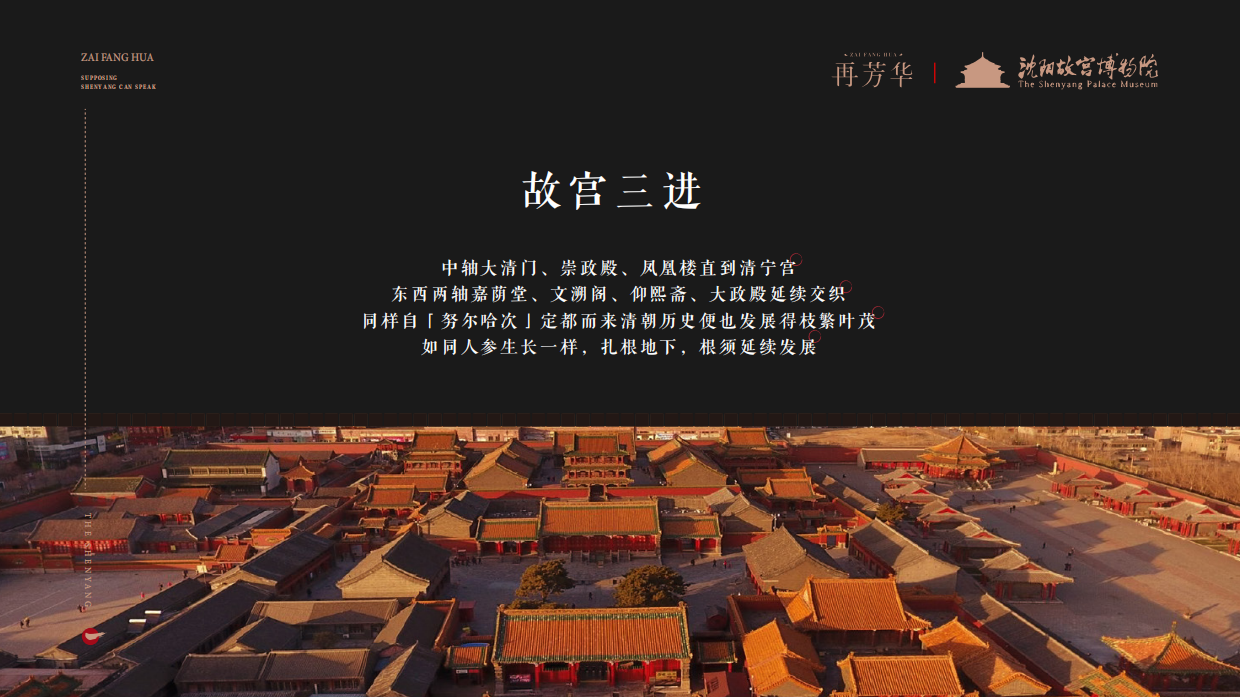 再芳华&百岁鹿-包装集合-设计提案.pdf_第5页