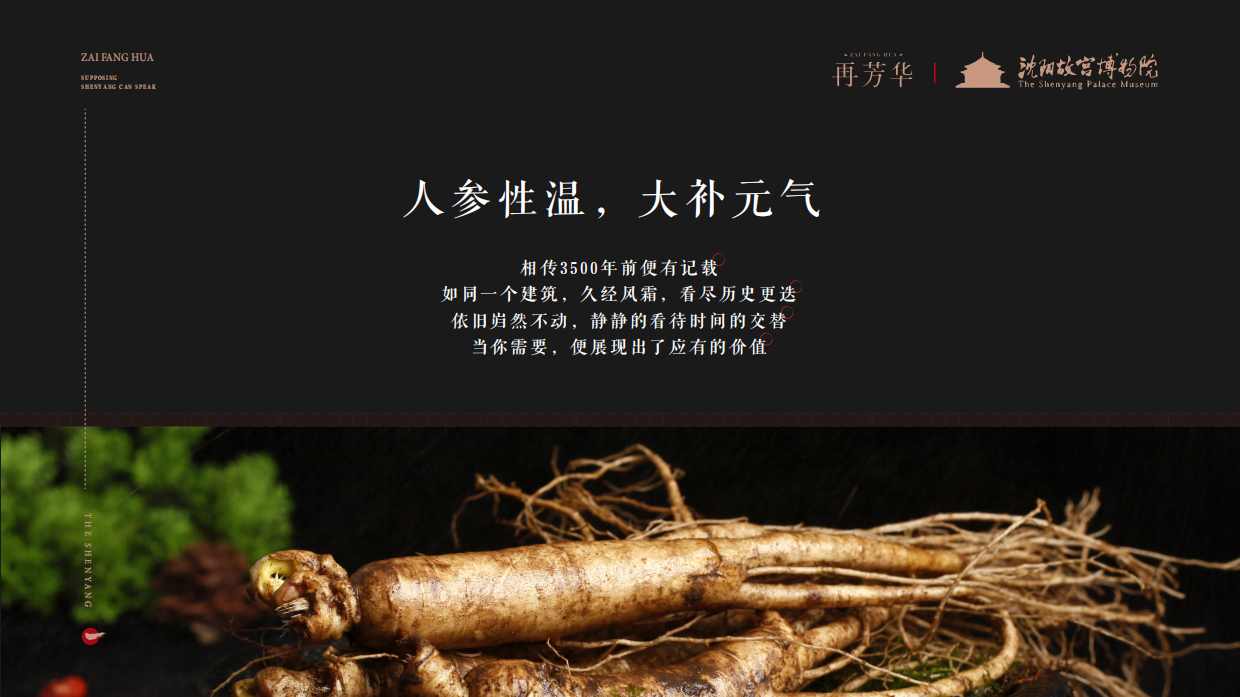 再芳华&百岁鹿-包装集合-设计提案.pdf_第6页