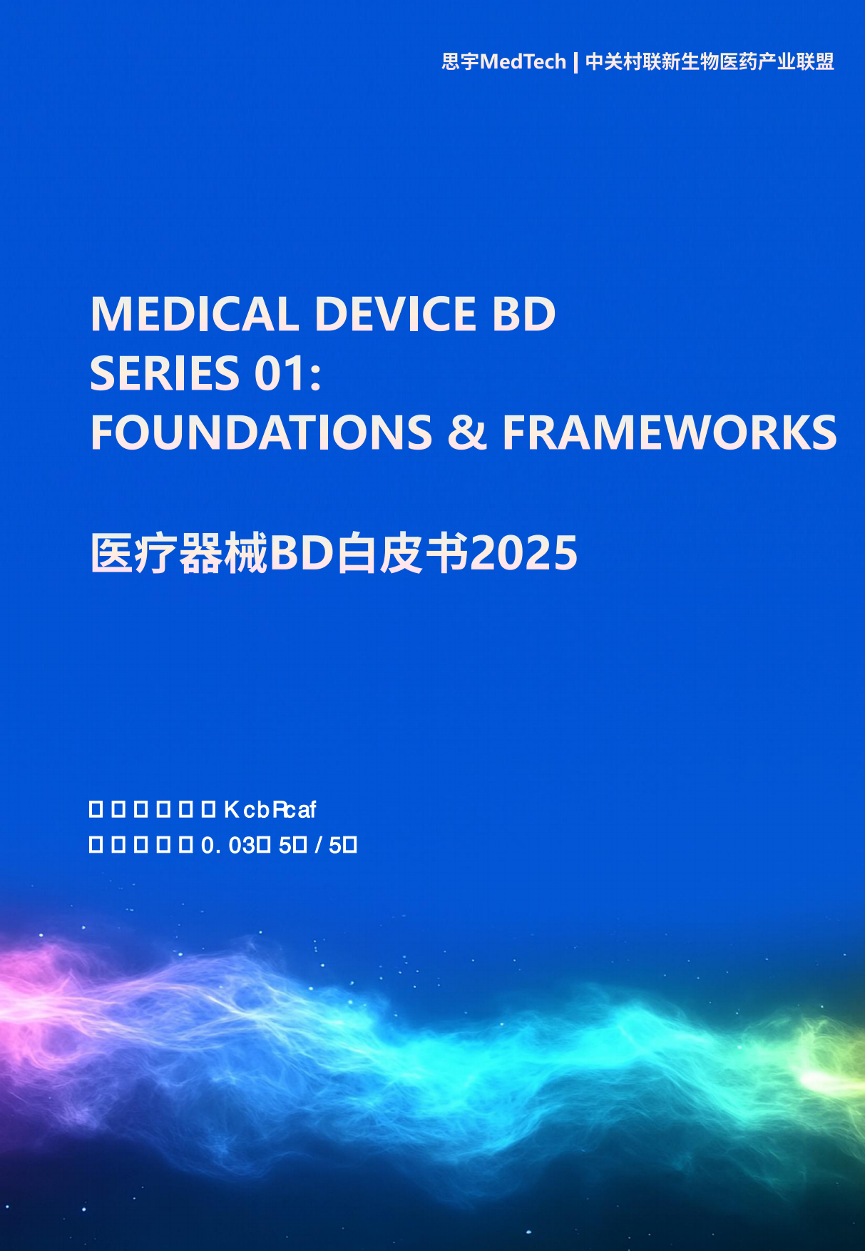 2025年医疗器械BD白皮书-思宇MedTech.pdf_第1页