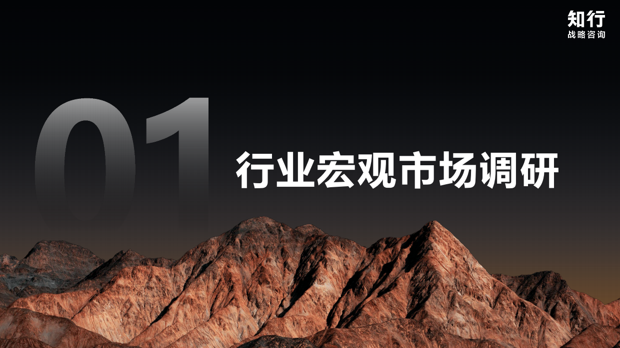 2025知行数据观察：T区护理品类.pdf_第3页