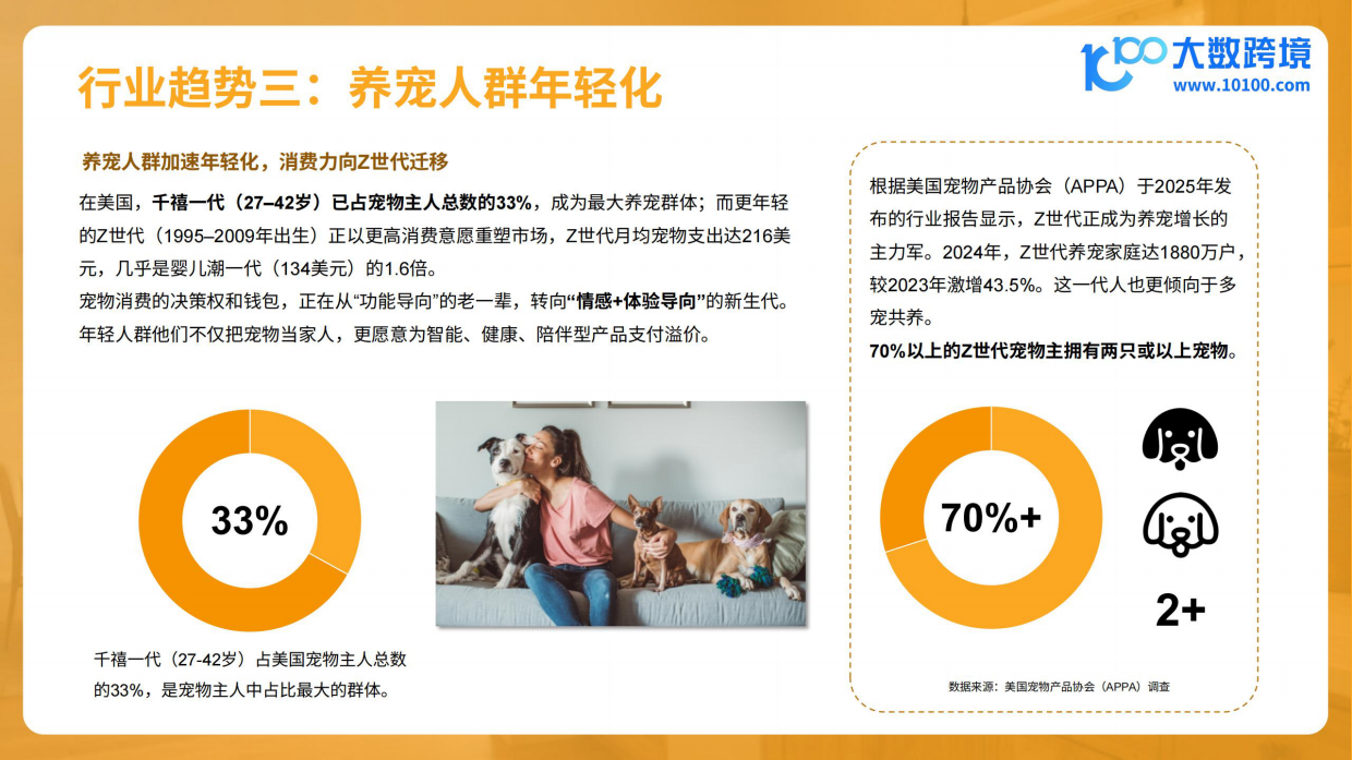 2026宠物电器品类出海分析报告-大数跨境.pdf_第8页