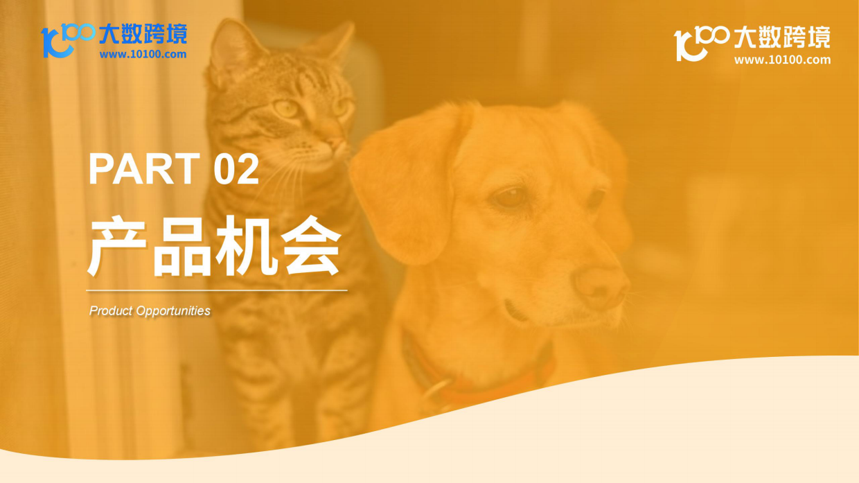 2026宠物电器品类出海分析报告-大数跨境.pdf_第9页