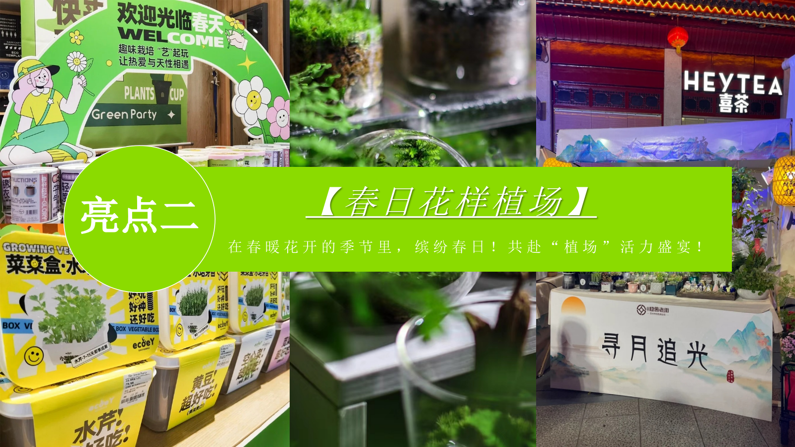 商场购物中心三月份春日漫游计划主题活动策划方案.pptx_第4页