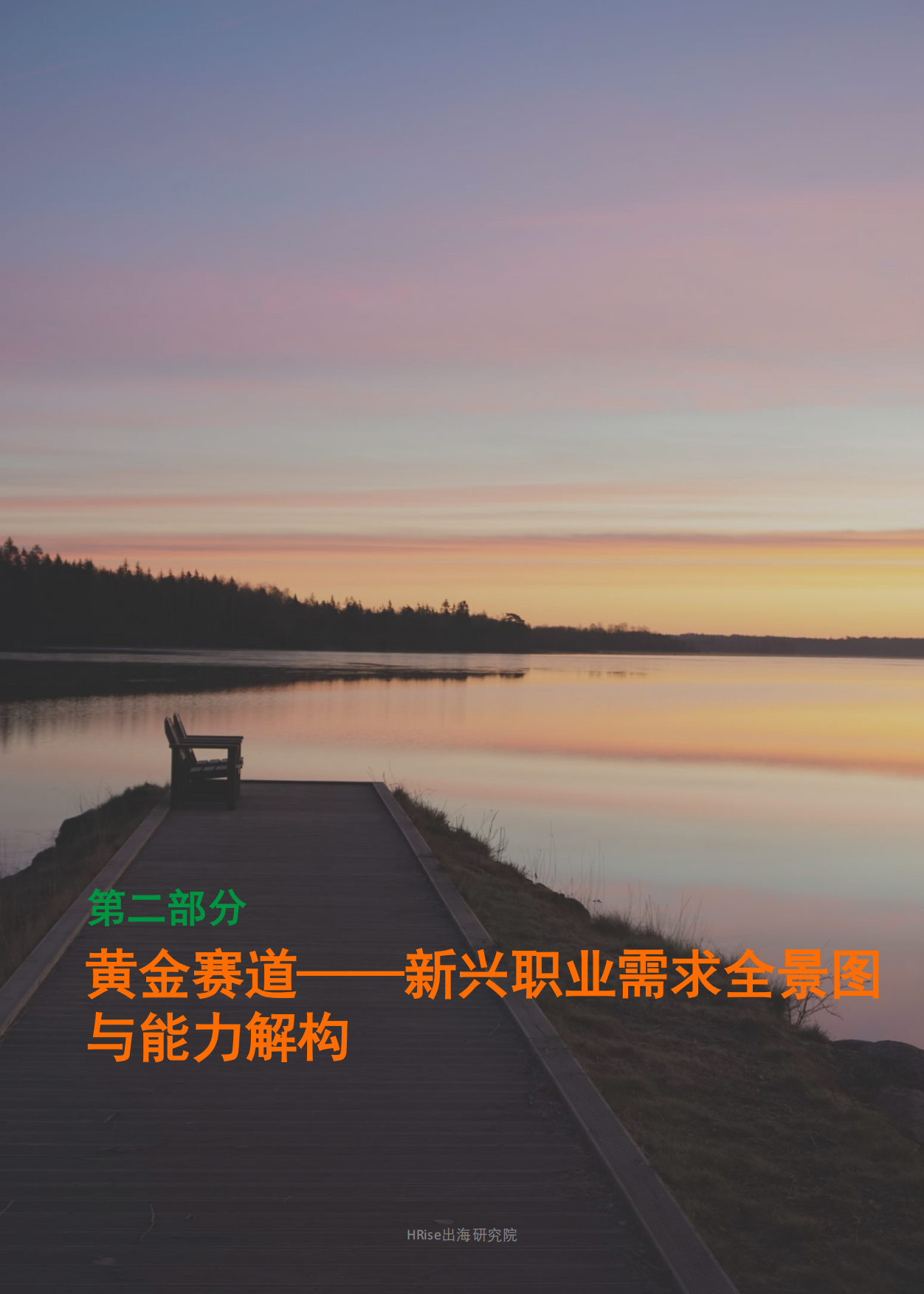 2025-2028年海南省产业与人才发展报告-HRise出海研究院.pdf_第10页