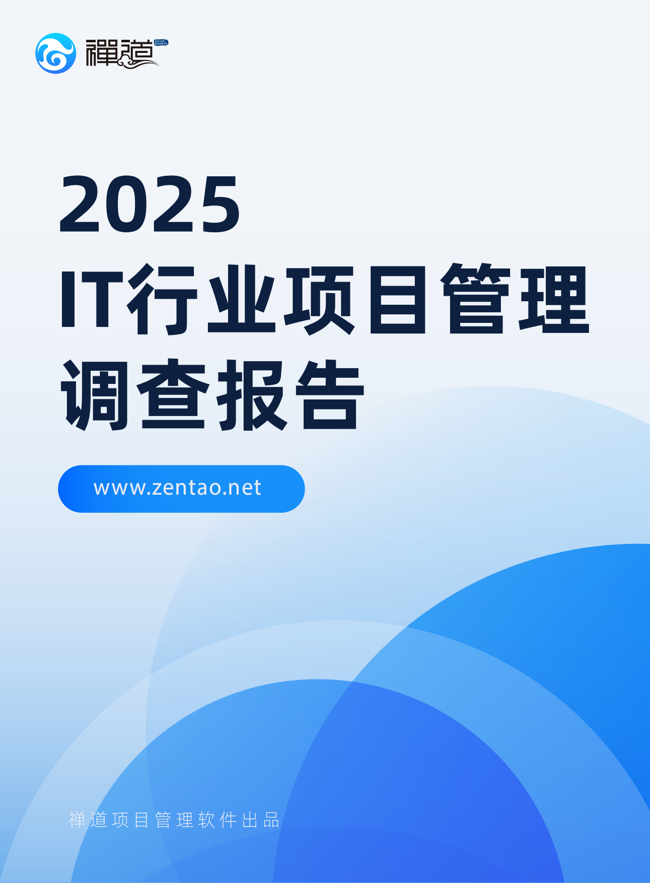 2025年IT行业项目管理调查报告-禅道.pdf_第1页