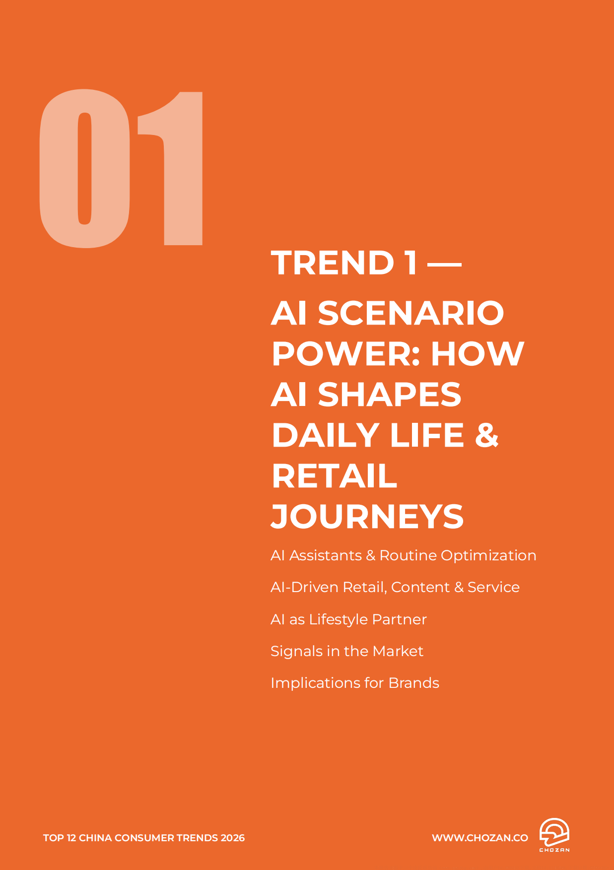 2026年中国消费者趋势报告十二大趋势分析（英文）-CHOZAN.pdf_第10页
