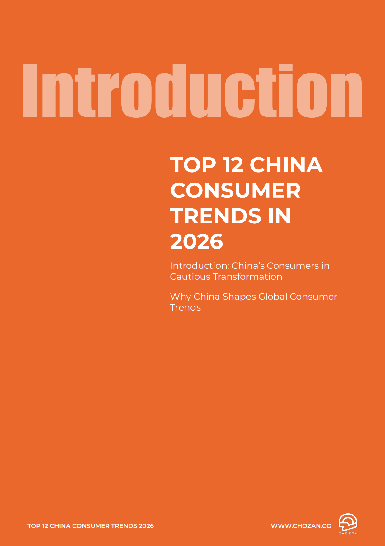 2026年中国消费者趋势报告十二大趋势分析（英文）-CHOZAN.pdf_第6页