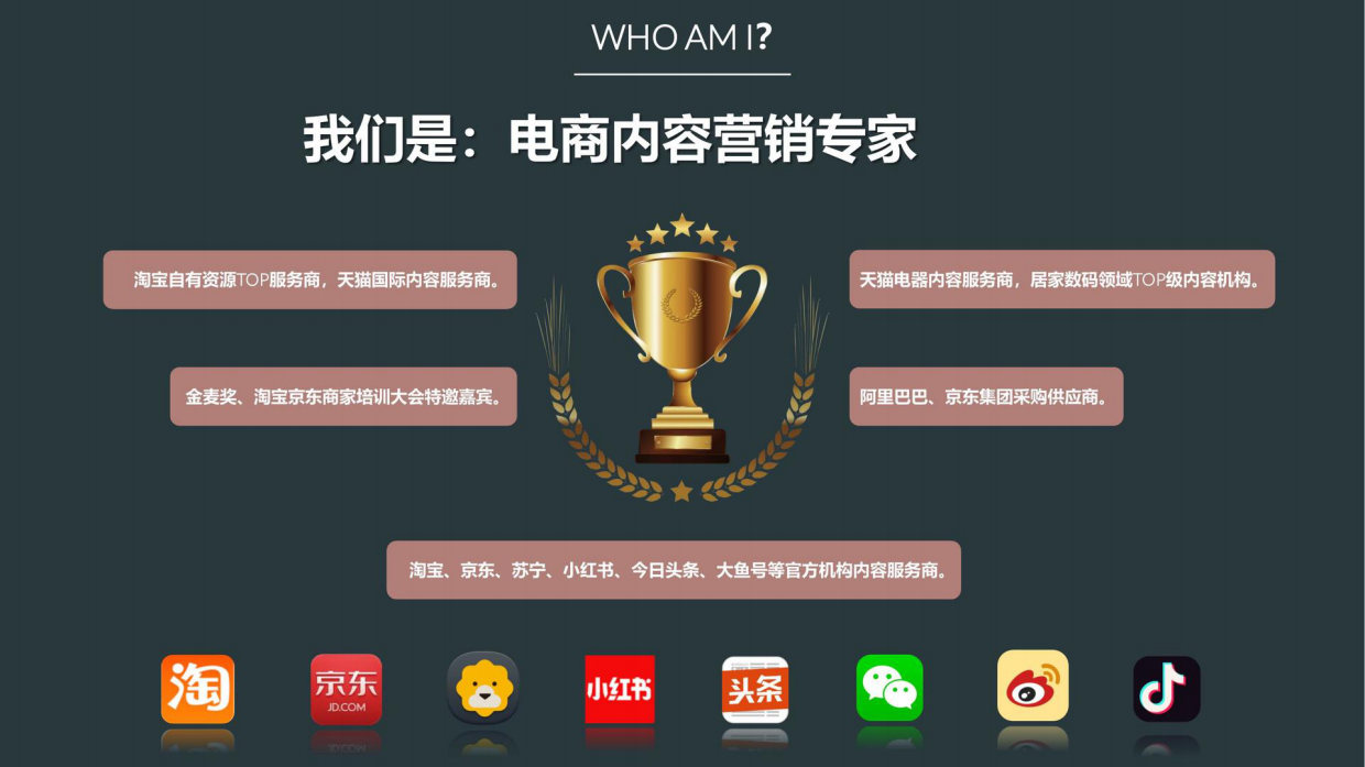 EP雅莹女装服饰淘宝内容营销年度方案含报价.pdf_第2页