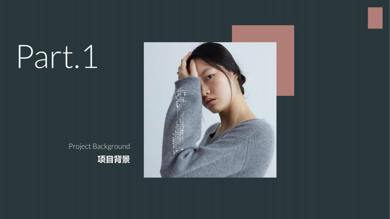 EP雅莹女装服饰淘宝内容营销年度方案含报价.pdf_第7页