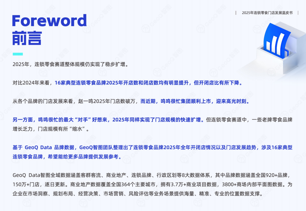 2025年连锁零食门店发展蓝皮书-GeoQ智图.pdf_第2页