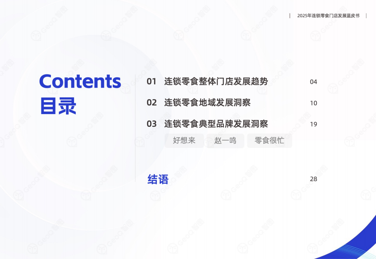 2025年连锁零食门店发展蓝皮书-GeoQ智图.pdf_第3页