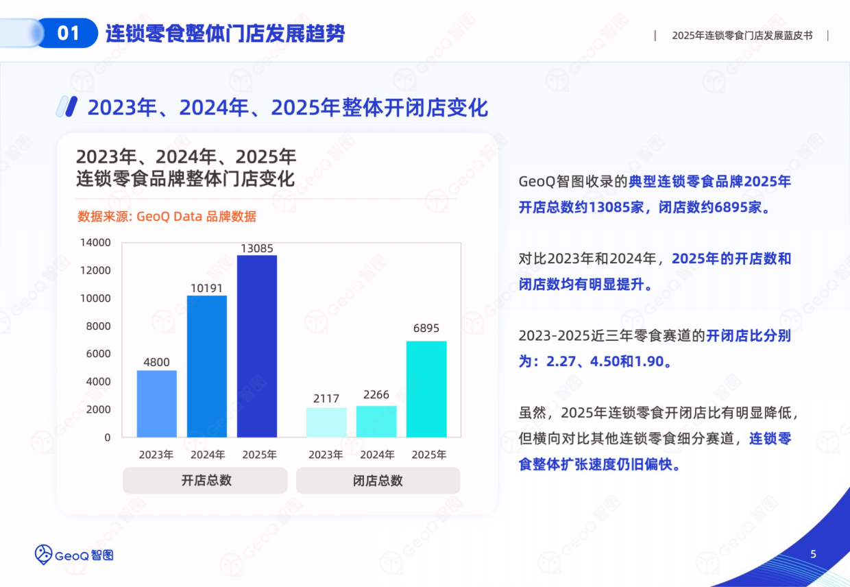 2025年连锁零食门店发展蓝皮书-GeoQ智图.pdf_第5页