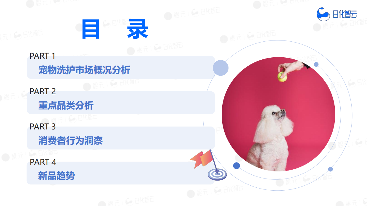 2025年宠物洗护市场复盘总结及新品趋势-日化智云.pdf_第5页