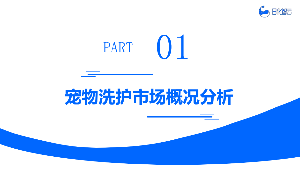 2025年宠物洗护市场复盘总结及新品趋势-日化智云.pdf_第6页