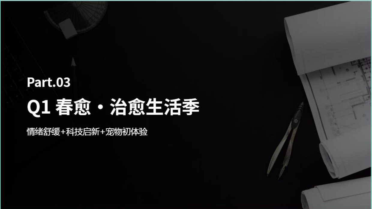 2026商业广场“情绪共鸣 智享生活+”全年营销计划.pdf_第6页
