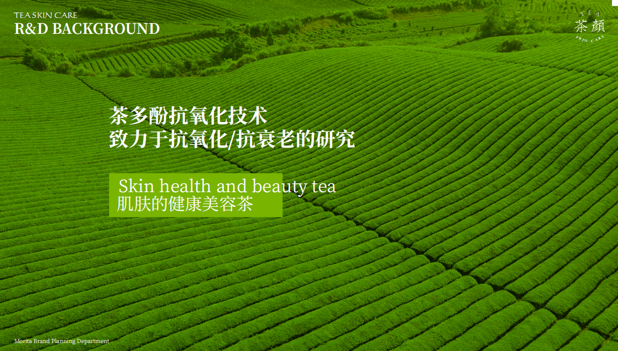 茶颜茶系护肤策划方案.pdf_第6页