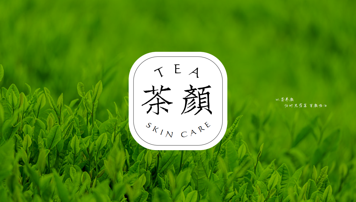 茶颜茶系护肤策划方案.pdf