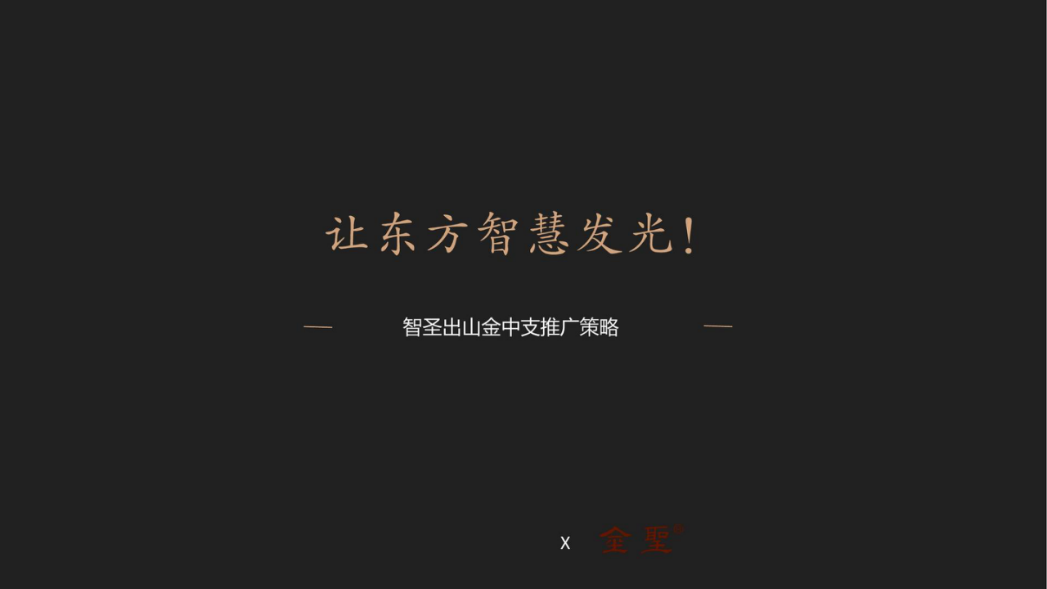 金圣智圣出山金中支推广策略.pptx