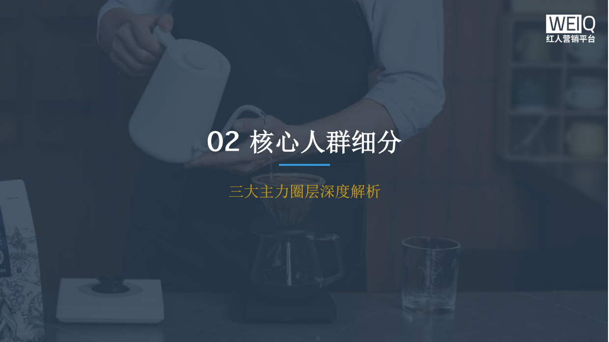 2025中国咖啡磨豆机行业报告-WEIQ红人营销平台.pdf_第4页