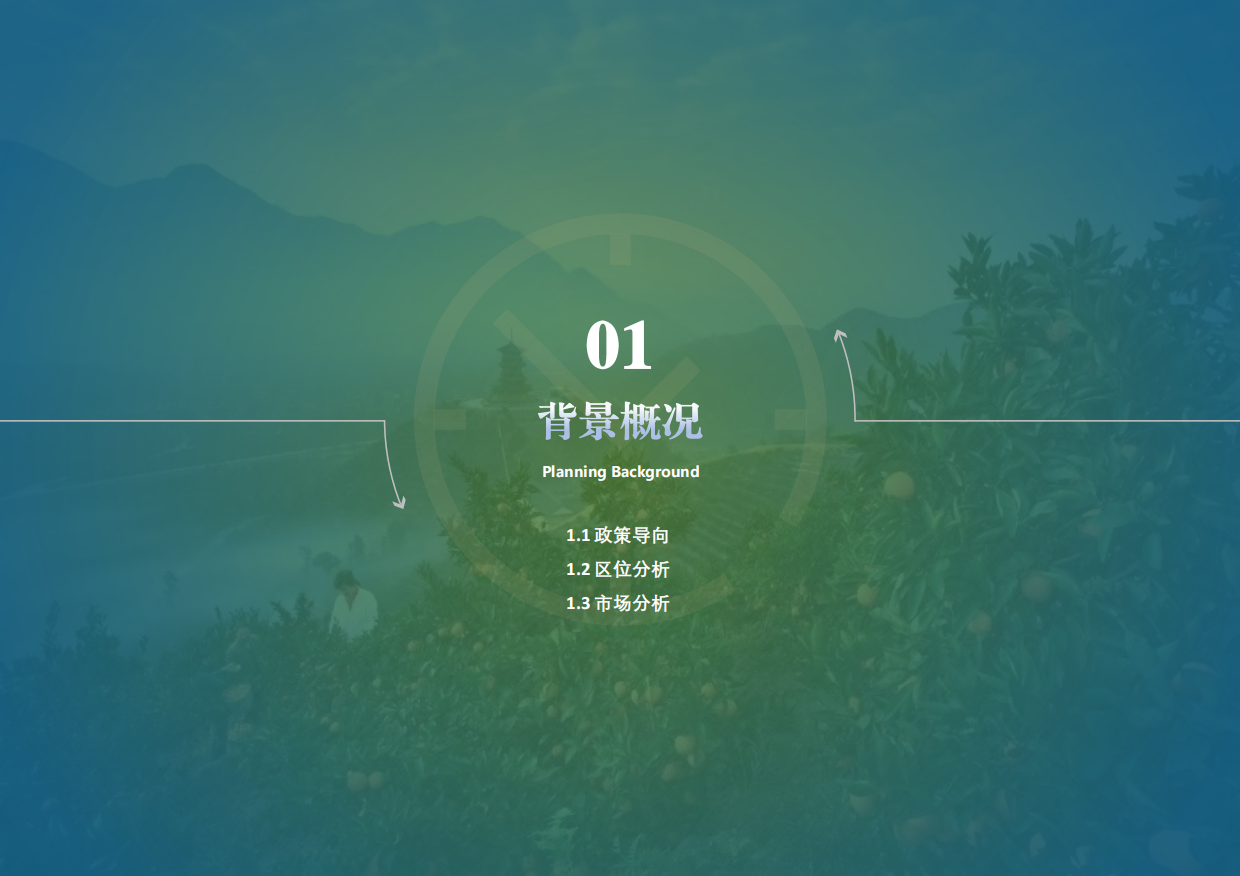 璧山区·大路镇团坝村柑橘产业主题农旅综合体乡村振兴概念性规划设计案.pdf_第4页