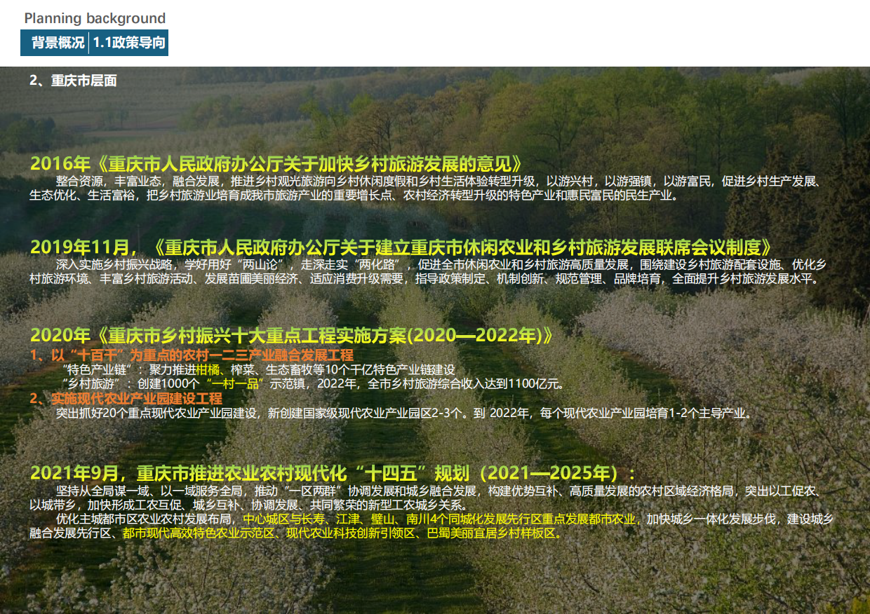 璧山区·大路镇团坝村柑橘产业主题农旅综合体乡村振兴概念性规划设计案.pdf_第6页