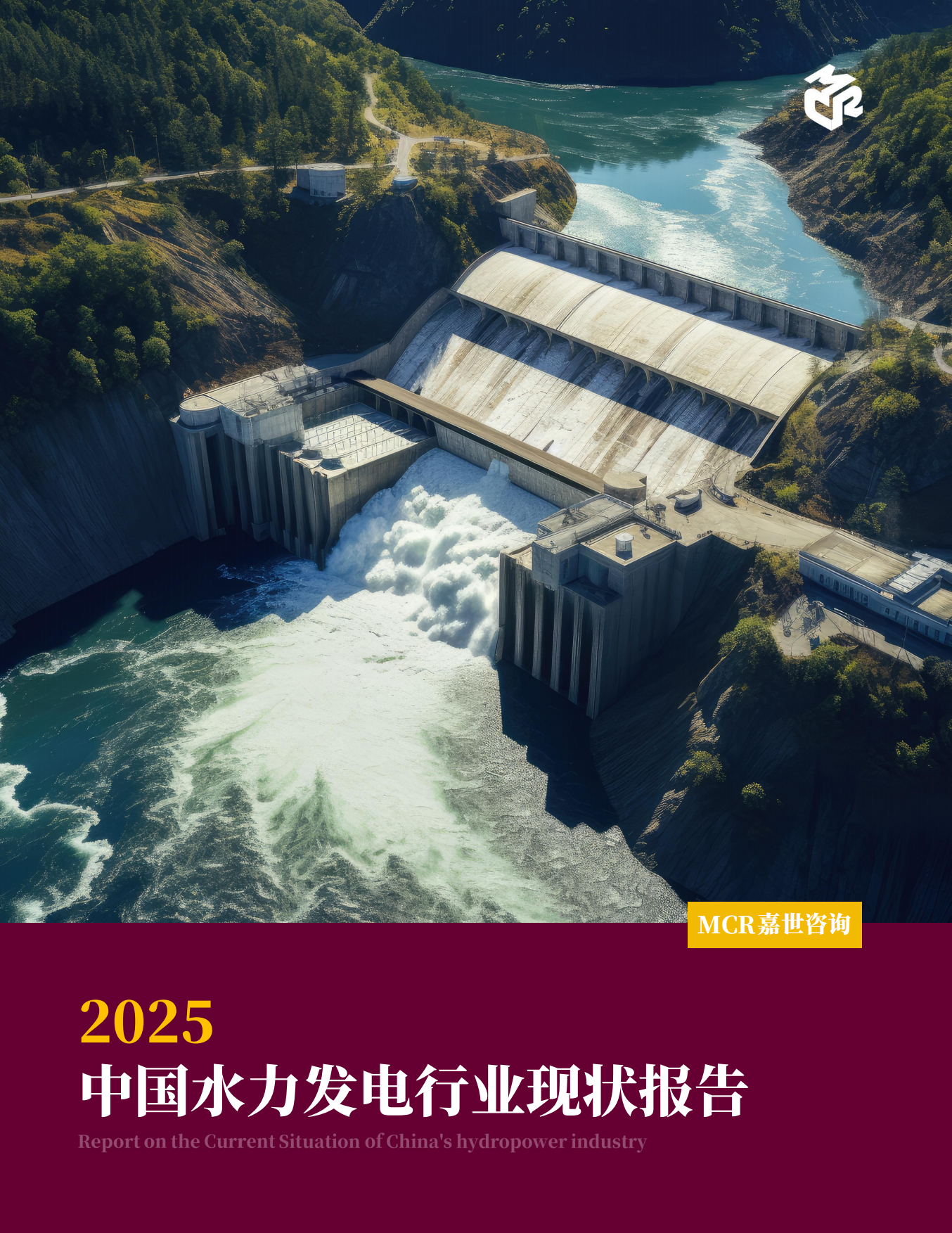 2025年中国水力发电行业现状报告-嘉世咨询.pdf