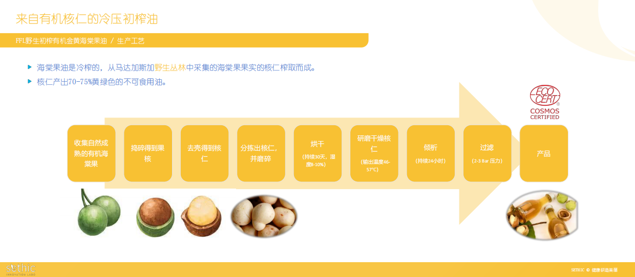 2026美博会：在天然与有效之间：植物原料安全与功效的平衡艺术.pdf_第10页