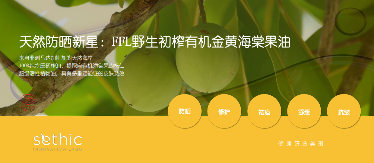 2026美博会：在天然与有效之间：植物原料安全与功效的平衡艺术.pdf_第6页