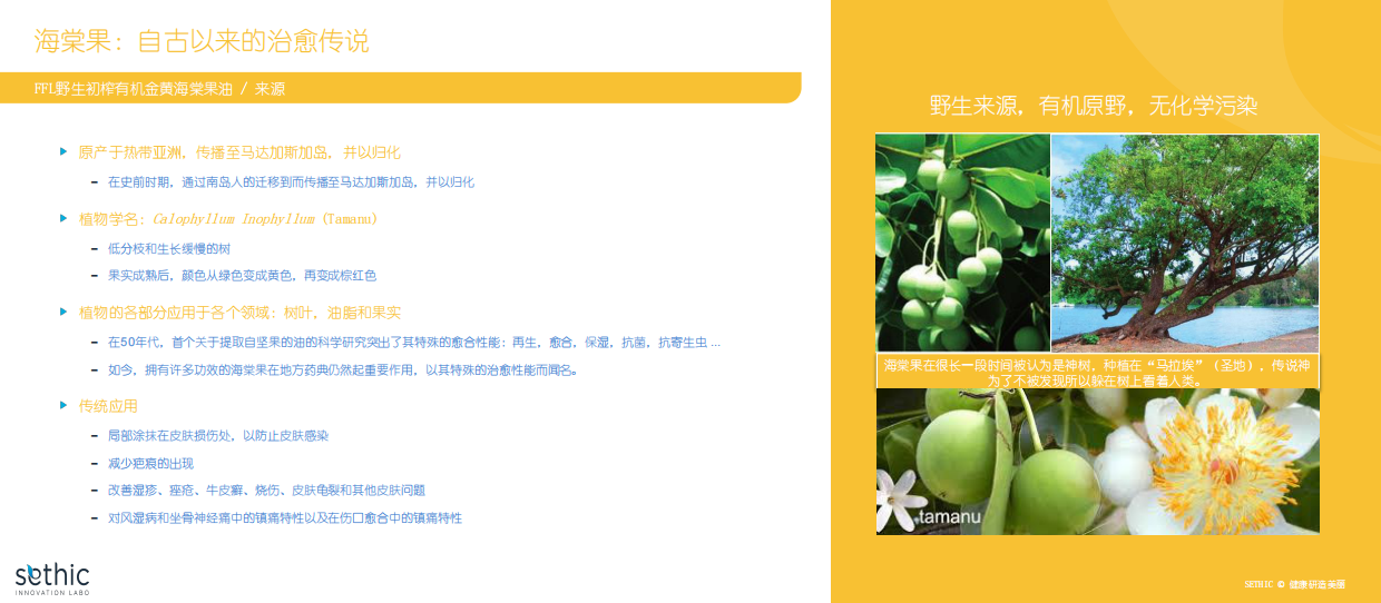 2026美博会：在天然与有效之间：植物原料安全与功效的平衡艺术.pdf_第7页