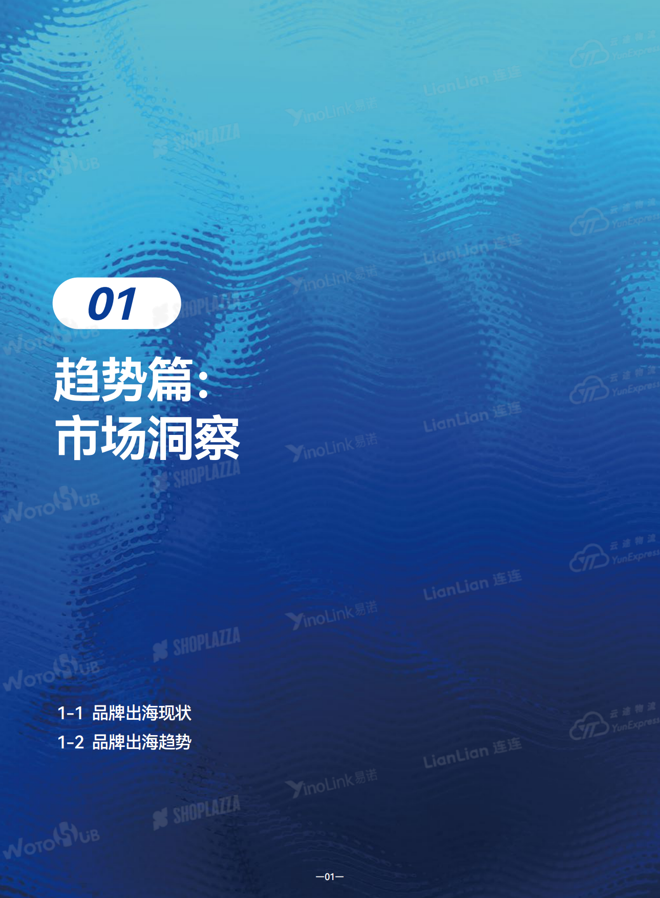 2026年品牌出海行动指南报告-SHOPLAZZA.pdf_第5页